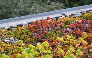 the cost of Podimore green roof installation