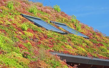 Podimore living roof systems