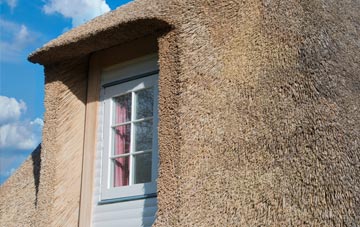 Podimore thatch roof disadvantages